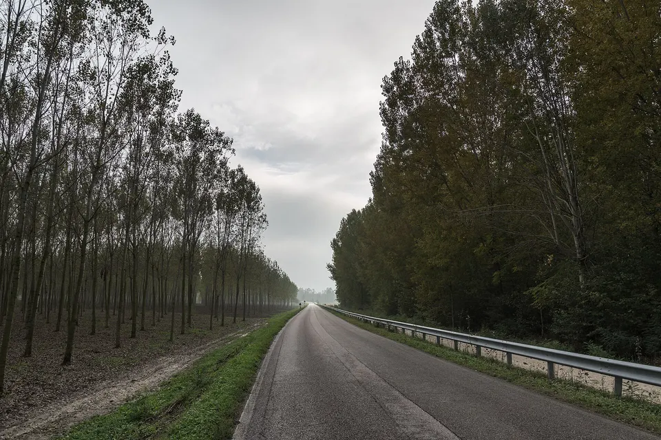 Strada Provinciale 57 - Viadana, Mantova, Italy
